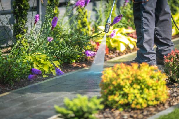 Best Fence Cleaning and Maintenance in Lockport Heights, IL